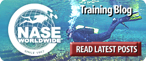 Training Blog